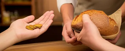 Illustration taking - Image 1