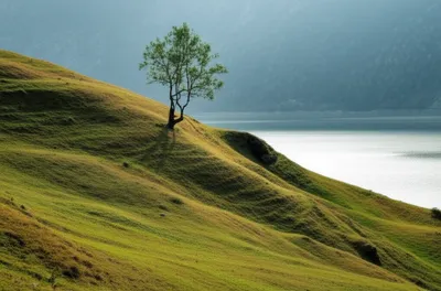 Illustration prone - Image 1