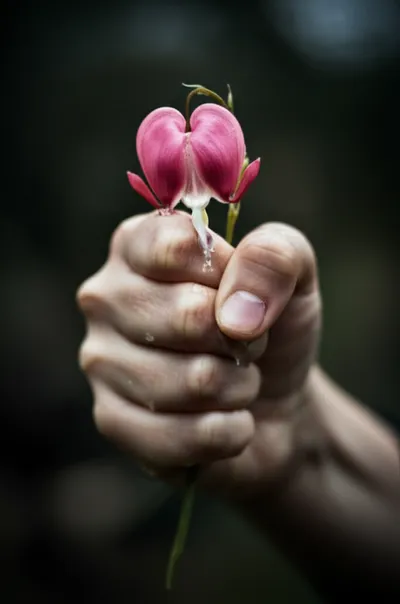 Illustration wring - Image 1