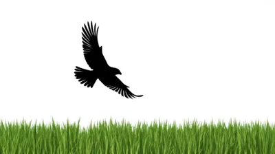 Illustration land - Image 1