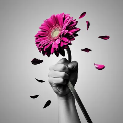 Illustration suppresses