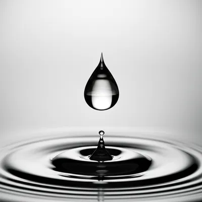 Illustration v - Image 1