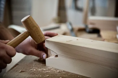 Illustration tenon - Image 1