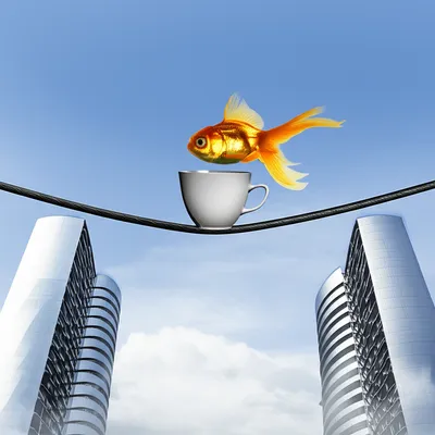 Illustration improbabilities