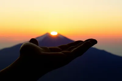 Illustration offering - Image 1