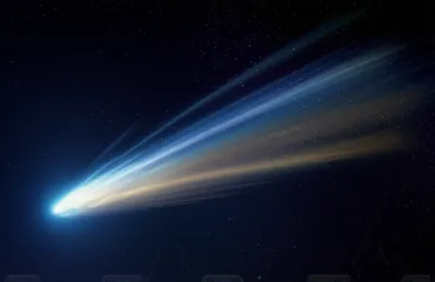 Illustration tails - Image 1