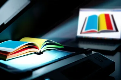 Illustration scanned - Image 1