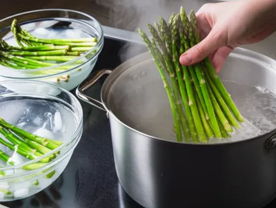 Illustration blanching - Image 1