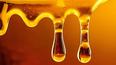 Hình ảnh minh họa honey - Ảnh 1