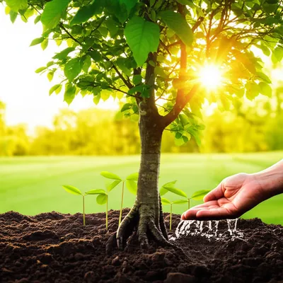 Illustration sustainability