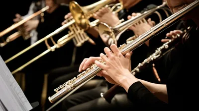 Illustration winds - Image 1