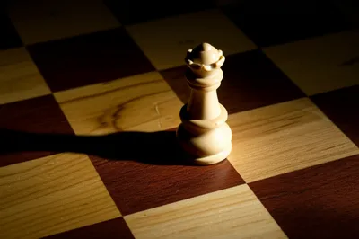 Illustration agents - Image 2