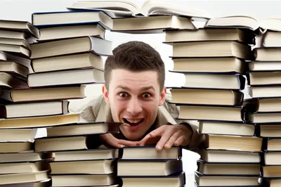 Illustration avidly - Image 1