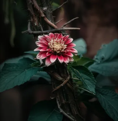 Illustration strangled - Image 1