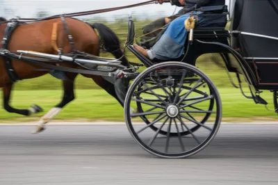 Illustration whipped