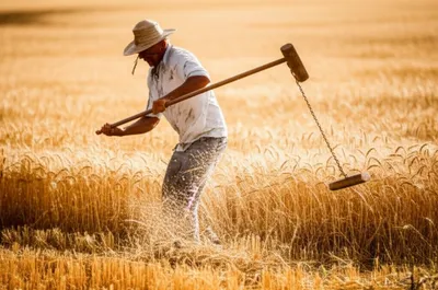 Illustration flail - Image 1