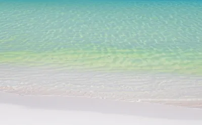 Illustration turquoise - Image 1