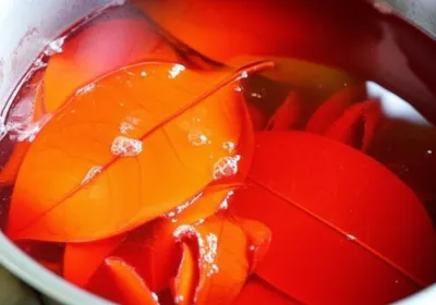 Illustration chica - Image 1