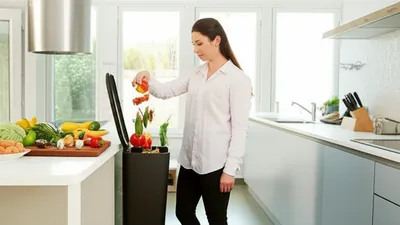 Illustration fetched - Image 1