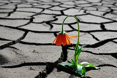 Illustration strikes - Image 1