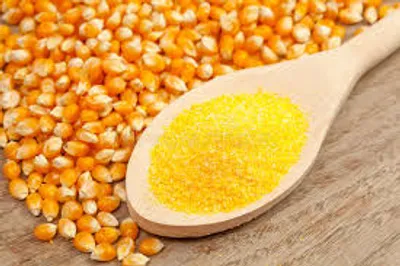 Illustration meal - Image 2