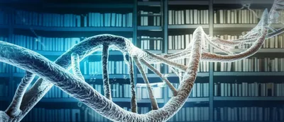 Illustration library - Image 1