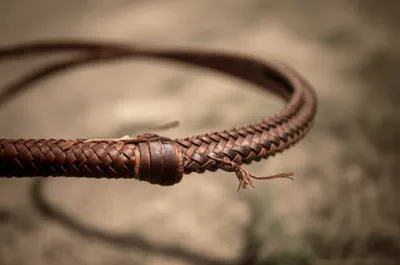 Illustration crackers - Image 1