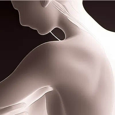 Illustration knobbed - Image 1