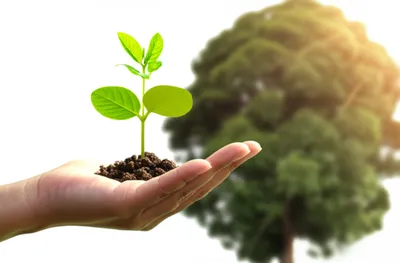 Illustration subsidized