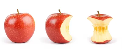 Illustration variation