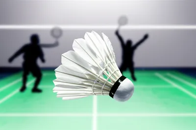 Illustration cocks - Image 1