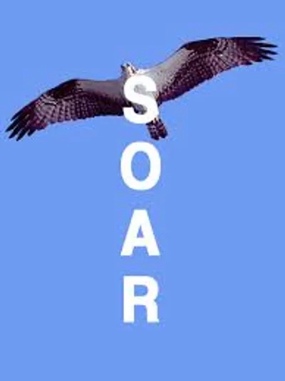Illustration soar - Image 2