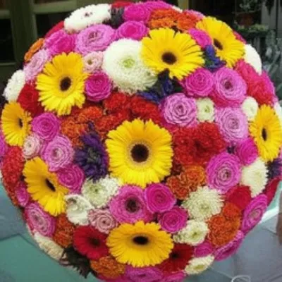 Illustration corymbs - Image 1