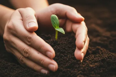 Illustration invested - Image 1