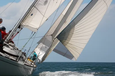 Illustration trims - Image 1