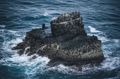 Illustration scar - Image 1