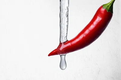 Illustration bitterest - Image 1