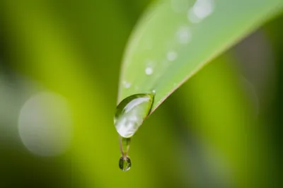 Illustration droplets