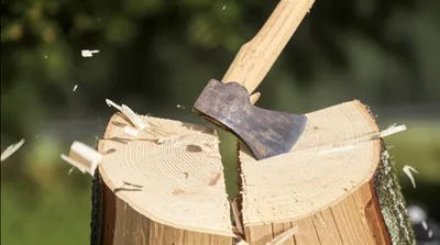 Illustration cleave - Image 1