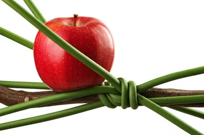 Illustration suspend - Image 1