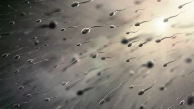 Illustration swimmer - Image 1