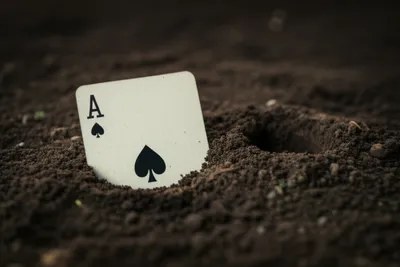 Illustration digger - Image 1