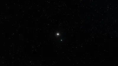 Illustration specks - Image 1