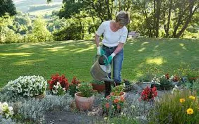 Illustration gardening - Image 2