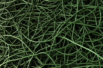 Illustration mat - Image 1