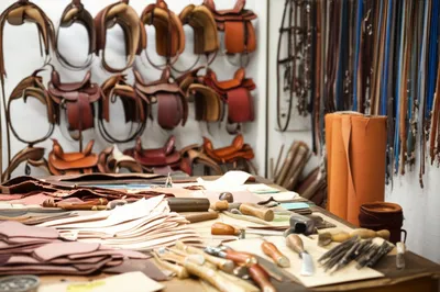 Illustration saddlery - Image 1