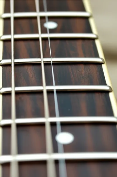 Illustration frets - Image 1