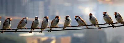 Illustration clash - Image 1