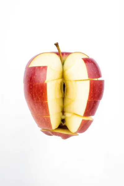 Illustration divisions - Image 1