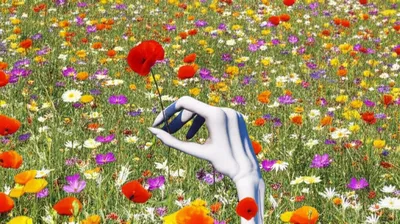 Illustration inhumanity - Image 1